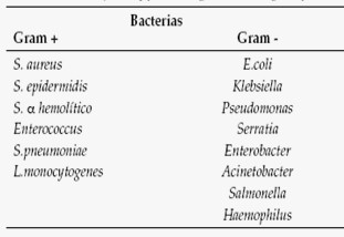 tratamiento_neutropenia_febril/bacterias_gram_+_-