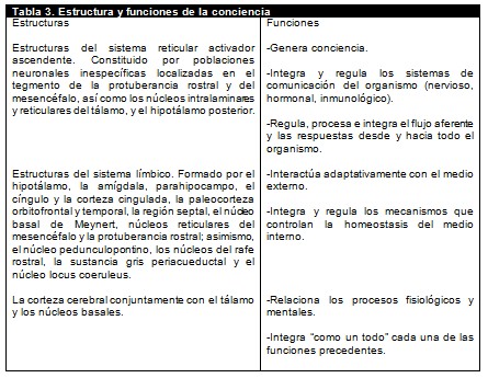 integracion_funciones_conciencia/estructura_corteza_funcion