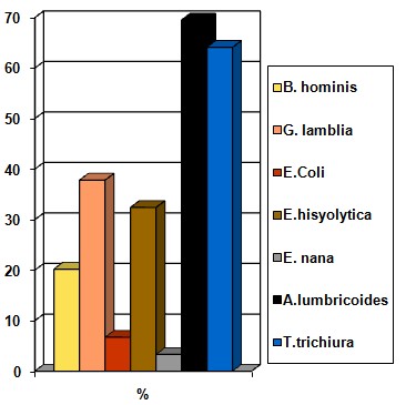 parasitosis_intestinal_preescolares/grafico9_examen_heces parasitosis_intestinal_preescolares/grafico9_examen_heces