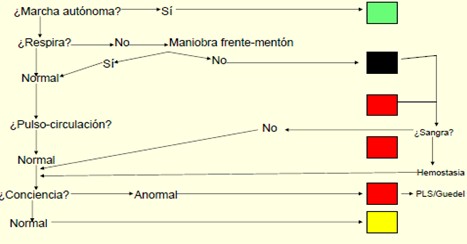 triaje_victimas_multiples/metodo_START_valoracion