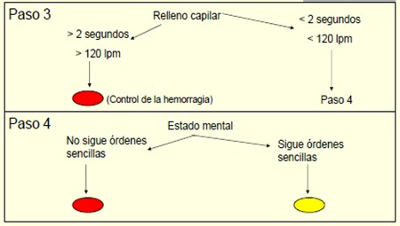 triaje_victimas_multiples/relleno_capilar_mental