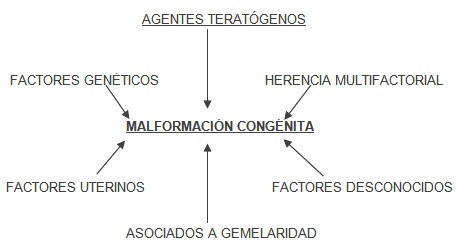 deteccion_malformaciones_congenitas/malformaciones_congenitos_factores