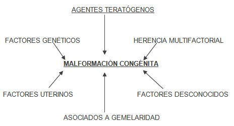 deteccion_malformaciones_congenitas/malformaciones_congenitos_factores deteccion_malformaciones_congenitas/malformaciones_congenitos_factores