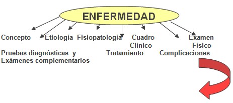 enfermero_enfermeria_geriatria/algoritmo_de_docencia