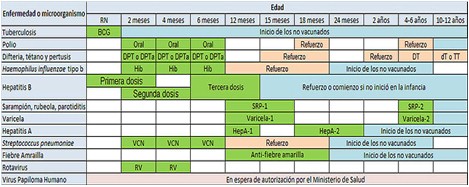 epidemiologia_inmunizacion_enfermedades/esquema_inmunizaciones_pediatricas epidemiologia_inmunizacion_enfermedades/esquema_inmunizaciones_pediatricas