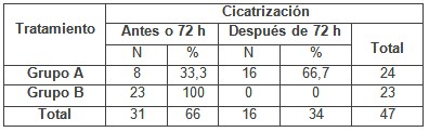 romerillo_estomatitis_aftosa/comienzo_cicatrizacion_tratamiento