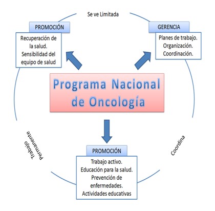 gerencia_enfermeria_oncologia/estructura_general_investigacion gerencia_enfermeria_oncologia/estructura_general_investigacion