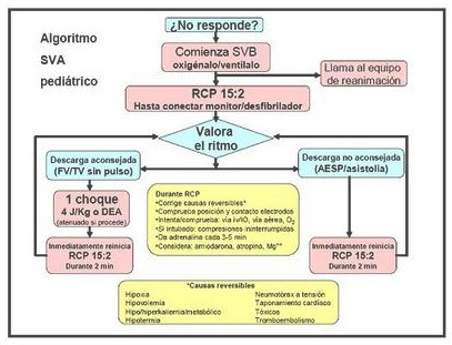 guia_maletines_emergencia/algoritmo_soporte_vital guia_maletines_emergencia/algoritmo_soporte_vital