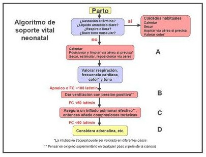 guia_maletines_emergencia/resucitacion_recien_nacidos guia_maletines_emergencia/resucitacion_recien_nacidos