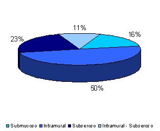 miomatosis_uterina_ginecologia/grafico_tipo_mioma