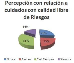 percepcion_cuidados_enfermeria/grafico_libre_riesgos