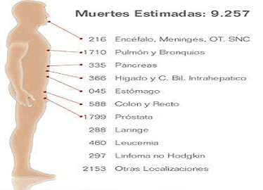 quimioterapia_cuidado_humano/muertes_cancer_hombres