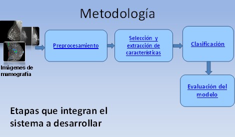 diagnostico_lesiones_mamografia/metodologia_procesamiento_imagenes