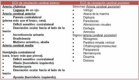 enfermedad_cerebrovascular/clínica_segun_territorio enfermedad_cerebrovascular/clínica_segun_territorio