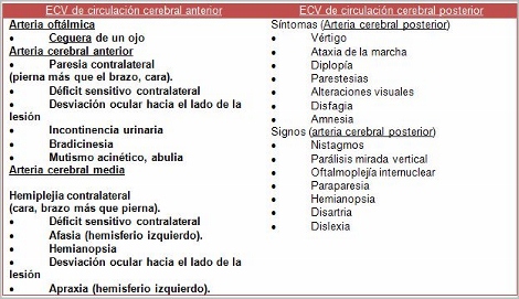 enfermedad_cerebrovascular/clínica_segun_territorio