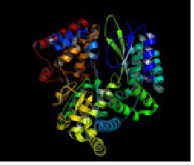 conocimientos_enfermedad_dengue/estructura_viral