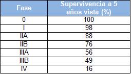 diagnostico_lesiones_mamografias/fase_supervivencia