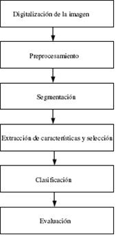 diagnostico_lesiones_mamografias/implementacion_sistema_ayuda diagnostico_lesiones_mamografias/implementacion_sistema_ayuda