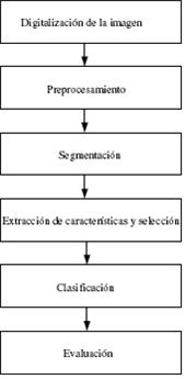 diagnostico_lesiones_mamografias/implementacion_sistema_ayuda