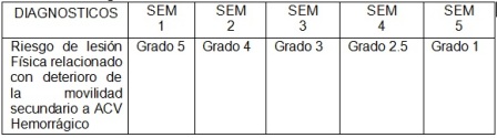 rehabilitacion_ACV_hemorragico/cuadro2_lesion_fisica