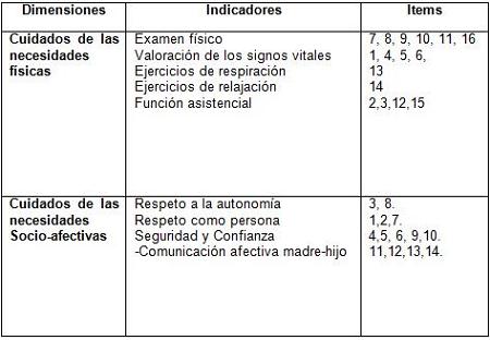 cuidados_enfermeria_parto/dimension_indicador_item