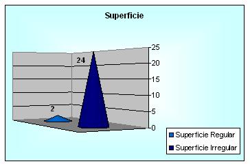 diagnostico_cancer_mama/grafico_examen_fisico_superficie