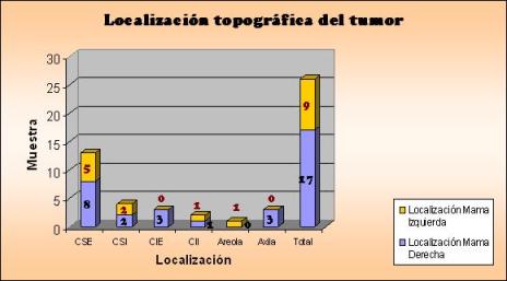 diagnostico_cancer_mama/grafico_localizacion_topografica