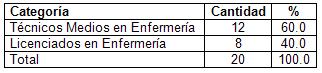 distress_respiratorio_neonatal/categoria_encuestados