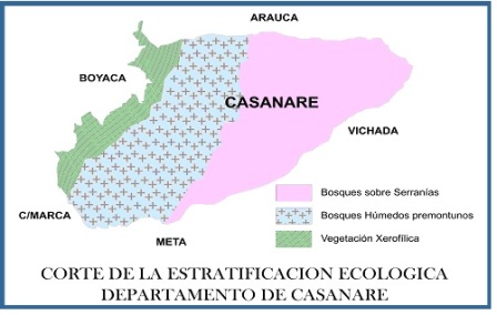 identificacion_especies_Triatominos/estratificacion_ecologica_casanare