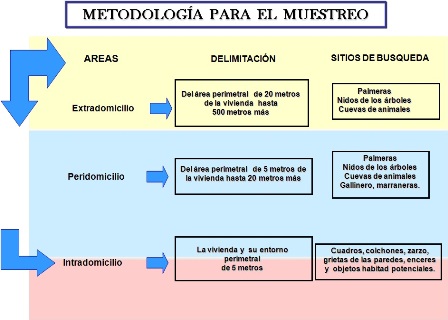 identificacion_especies_Triatominos/metodologia_muestreo