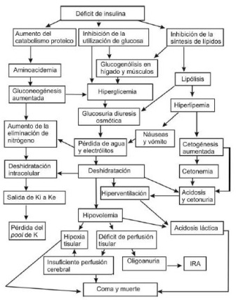 tratamiento_cetoacidosis_diabetica/esquema_fisiopatogenia_CAD