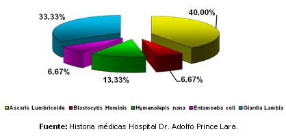 dengue_hemorragico_pediatria/grafico_coinfecciones_parasitarias_I