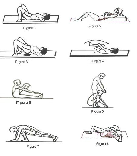 ejercicios_Williams_Charriere/actividades_dolor_espalda