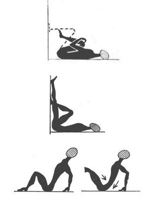 ejercicios_Williams_Charriere/fortalecer_musculos_espalda