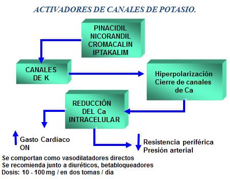 novedades_terapia_antihipertensiva/activadores_canales_potasio