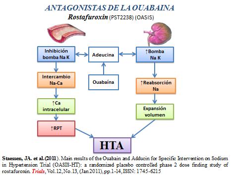 novedades_terapia_antihipertensiva/antagonistas_ouabaina novedades_terapia_antihipertensiva/antagonistas_ouabaina