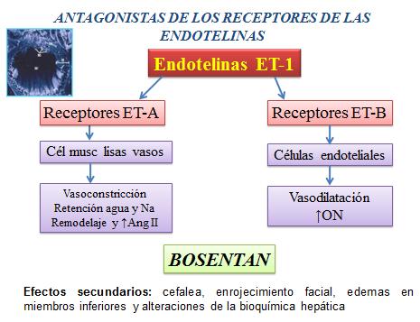 novedades_terapia_antihipertensiva/antagonistas_receptores_endotelinas novedades_terapia_antihipertensiva/antagonistas_receptores_endotelinas