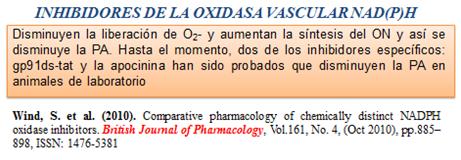 novedades_terapia_antihipertensiva/inhibidores_oxidasa_vascular