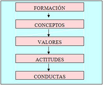 participacion_comites_salud/formacion_actitudes participacion_comites_salud/formacion_actitudes