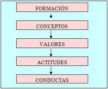 participacion_comites_salud/formacion_actitudes