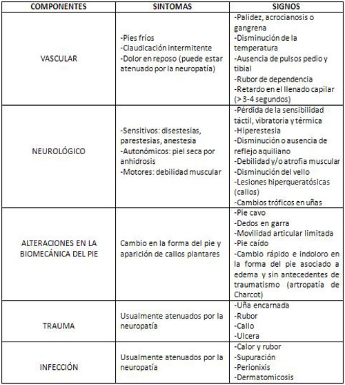 complicaciones_diabetes_mellitus/componentes_signos_sintomas