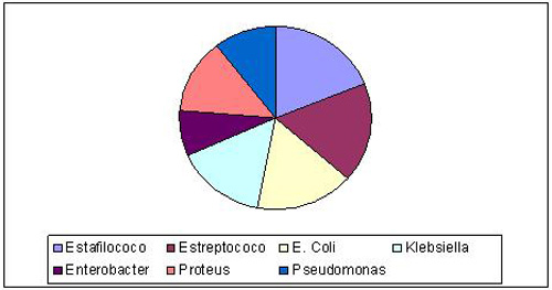 epidemiologia_gangrena_fournier/distribucion_segun_aislamiento epidemiologia_gangrena_fournier/distribucion_segun_aislamiento