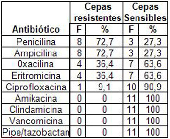 resistencia_bacteriana_exudados_faringeos/antibioticos