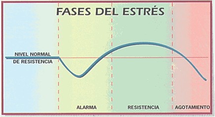 estres_cronico_ansiedad/fases_etapas_stress