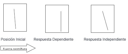 cognitivo_dependencia_independencia/posicion_inicial_respuesta