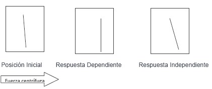 cognitivo_dependencia_independencia/posicion_inicial_respuesta cognitivo_dependencia_independencia/posicion_inicial_respuesta