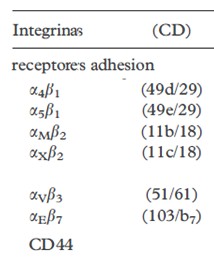 leucemia_celulas_peludas/integrinas_receptores_adhesion