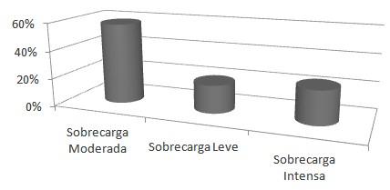 sobrecarga_cuidador_familiar/geriatria_psiquiatria_esquizofrenia sobrecarga_cuidador_familiar/geriatria_psiquiatria_esquizofrenia