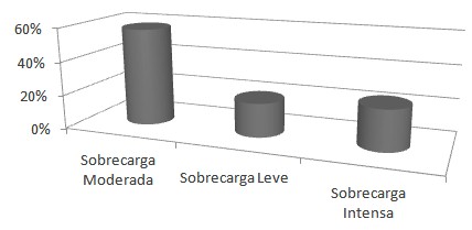 sobrecarga_cuidador_familiar/geriatria_psiquiatria_esquizofrenia