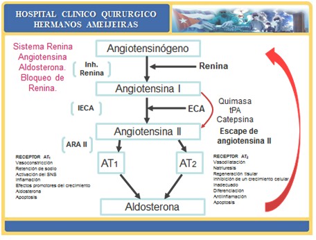 combinaciones_farmacos_antihipertensivos/renina_angiotensina_aldosterona